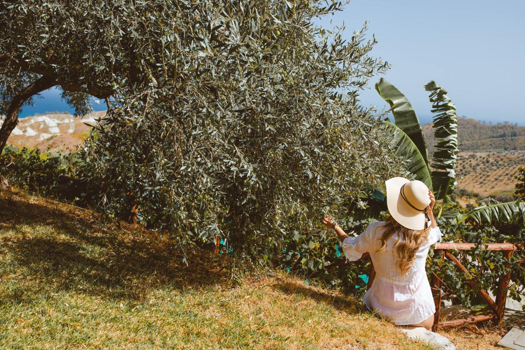 Calami - Villa Romeo - Private Apartments With Pool, Seaview & Olive Grove Santa Caterina Dello Ionio Marina Exterior foto