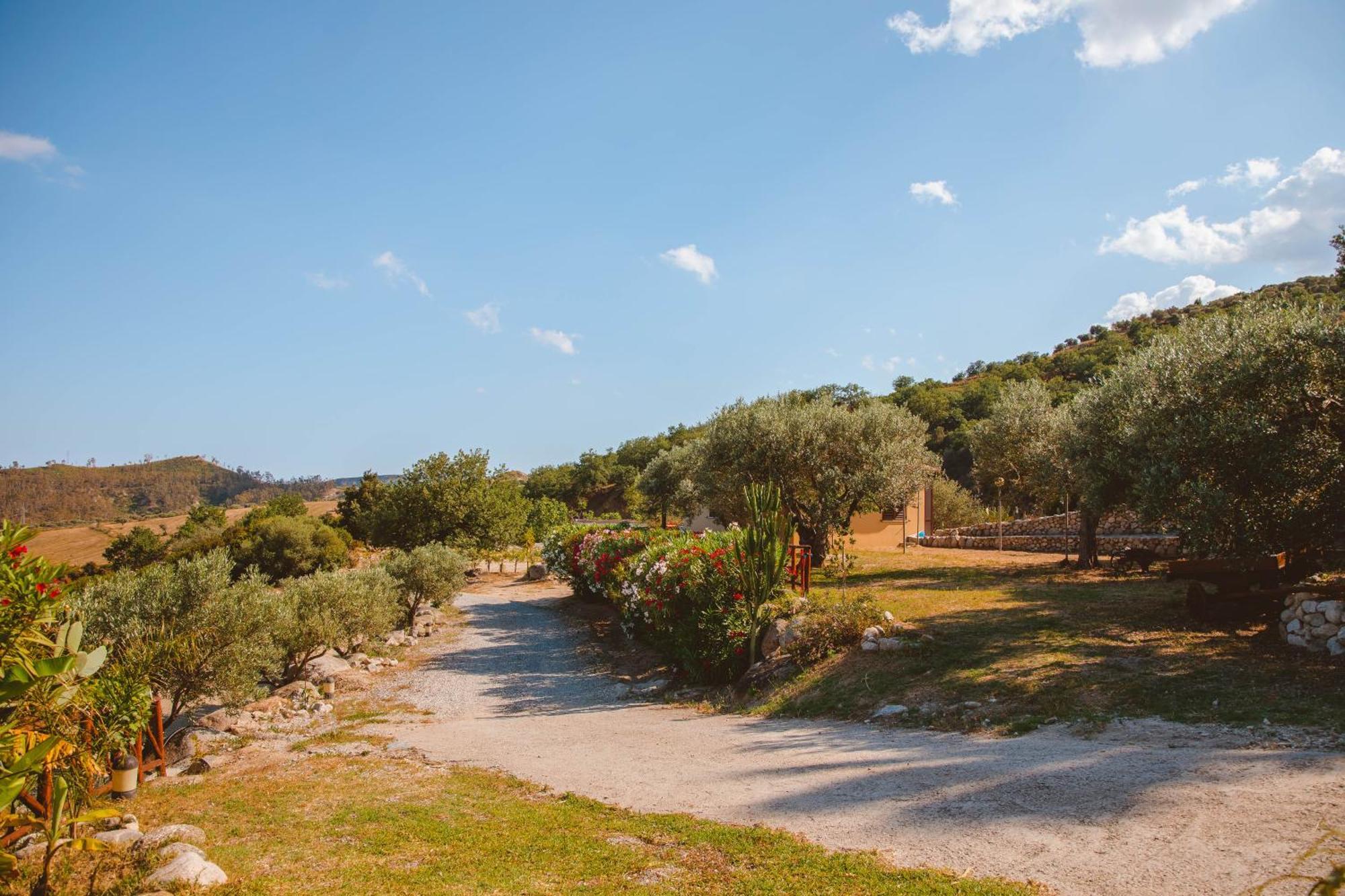 Calami - Villa Romeo - Private Apartments With Pool, Seaview & Olive Grove Santa Caterina Dello Ionio Marina Exterior foto