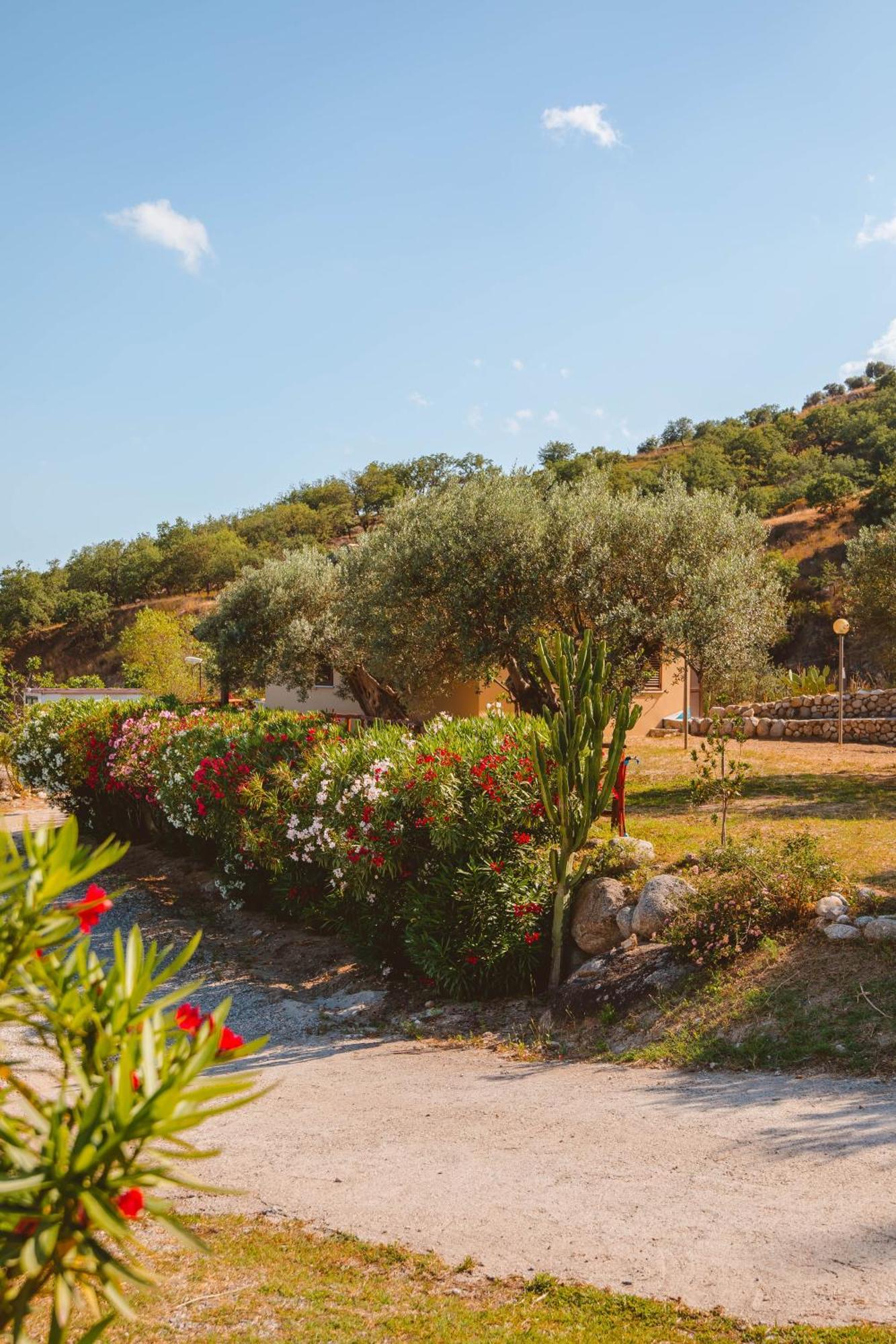 Calami - Villa Romeo - Private Apartments With Pool, Seaview & Olive Grove Santa Caterina Dello Ionio Marina Exterior foto